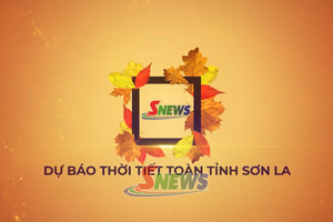 'Dự báo thời tiết toàn tỉnh Sơn La ngày 26/7/2026