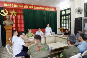 'Thực hiện hiệu quả chính sách chi trả dịch vụ môi trường rừng