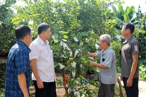 'Những cựu chiến binh trong thời bình