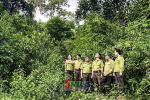 'Giữ rừng gắn với bảo tồn đa dạng sinh học