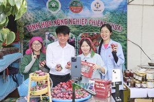 'Đưa công nghệ vào sản xuất, kinh doanh nông sản