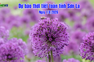 'Dự báo thời tiết toàn tỉnh Sơn La ngày 1/8/2026