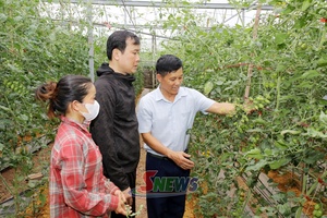 'Công tác dân vận khéo ở Vân Sơn
