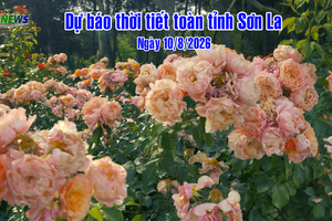 'Dự báo thời tiết toàn tỉnh Sơn La ngày 10/8/2026