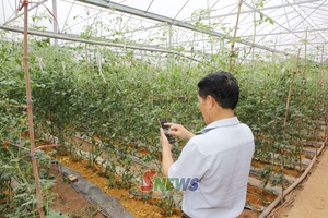 'Hợp tác xã bắt nhịp chuyển đổi số
