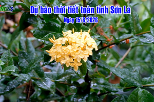 'Dự báo thời tiết toàn tỉnh Sơn La ngày 15/8/2026