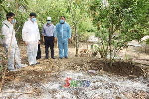 'Thách thức trong bảo vệ đàn vật nuôi