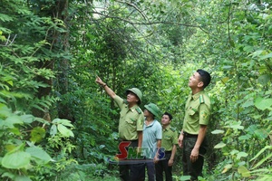 'Trách nhiệm cộng đồng để bảo vệ rừng bền vững