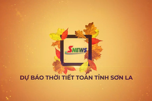 'Dự báo thời tiết toàn tỉnh Sơn La ngày 29/8/2026