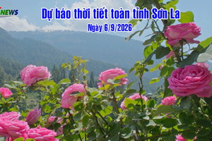 'Dự báo thời tiết toàn tỉnh Sơn La ngày 6/9/2026