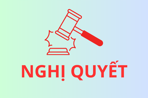 'HĐND cấp xã được quyết định phân bổ, điều chỉnh kế hoạch đầu tư công