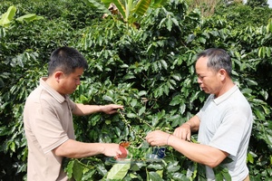 'Bản tiêu biểu nông thôn mới ở Mường Chanh