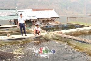 'Tường Hạ đẩy mạnh sản xuất hàng hóa