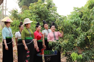 'Phụ nữ Mường Bú thi đua làm kinh tế giỏi