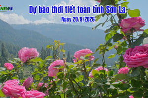 'Dự báo thời tiết toàn tỉnh Sơn La ngày 20/9/2026