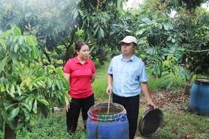 Hiệu quả các mô hình kinh tế tập thể ở Chiềng Khoong
