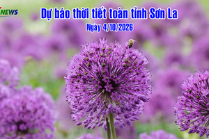 'Dự báo thời tiết toàn tỉnh Sơn La ngày 4/10/2026