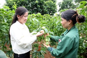 'Đa dạng cây trồng, vật nuôi, nâng cao thu nhập