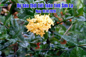 'Dự báo thời tiết toàn tỉnh Sơn La ngày 10/10/2026