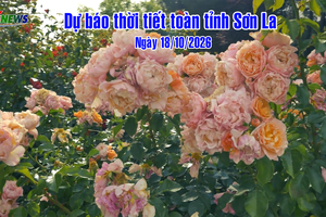 'Dự báo thời tiết toàn tỉnh Sơn La ngày 18/10/2026