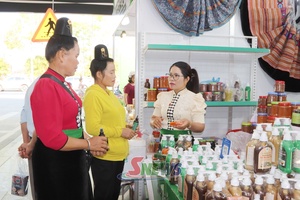 'Dược liệu núi - Nâng tầm giá trị nông sản địa phương