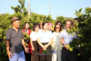 'Hỗ trợ phụ nữ dân tộc thiểu số phát triển kinh tế