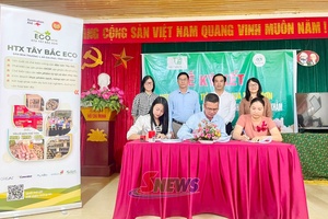 Mở hướng tiêu thụ nông sản địa phương