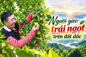 Người gieo trái ngọt trên đất dốc