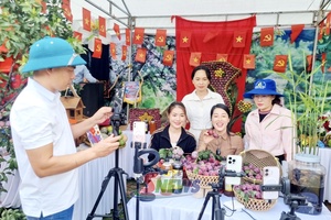 'Đồng hành cùng hợp tác xã phát triển