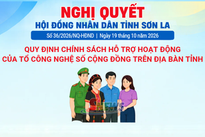 'Chính sách hỗ trợ hoạt động Tổ công nghệ số cộng đồng trên địa bàn tỉnh Sơn La
