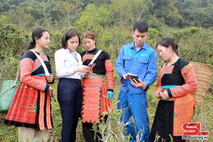 Phát triển hạ tầng viễn thông ở huyện vùng cao Bắc Yên