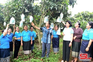 Hội LHPN các tỉnh nước CHDCND Lào thăm và học tập kinh nghiệm tại huyện Yên Châu, Mai Sơn 