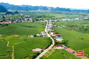 Tập trung công tác quy hoạch đô thị và nông thôn