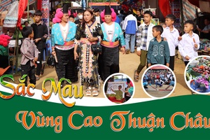  Sắc màu vùng cao Thuận Châu 