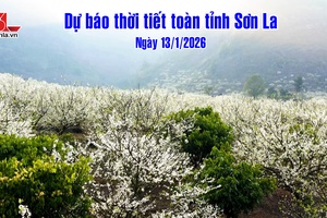 'Dự báo thời tiết toàn tỉnh Sơn La ngày 13/1/2026