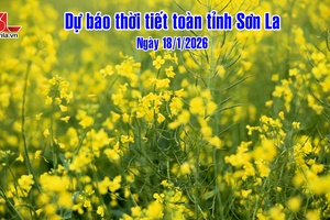 'Dự báo thời tiết toàn tỉnh Sơn La ngày 18/1/2026