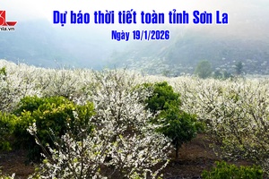 'Dự báo thời tiết toàn tỉnh Sơn La ngày 19/1/2026