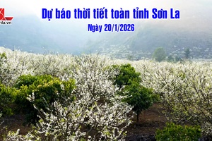 'Dự báo thời tiết toàn tỉnh Sơn La ngày 20/1/2026