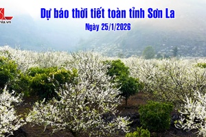 'Dự báo thời tiết toàn tỉnh Sơn La ngày 25/01/2026