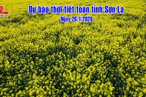 'Dự báo thời tiết toàn tỉnh Sơn La ngày 26/01/2026