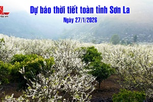 'Dự báo thời tiết toàn tỉnh Sơn La ngày 27/01/2026