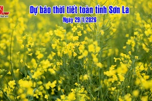 'Dự báo thời tiết toàn tỉnh Sơn La ngày 29/01/2026