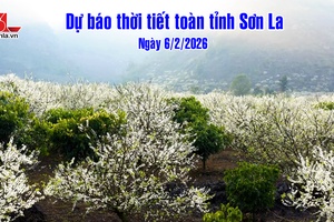 'Dự báo thời tiết toàn tỉnh Sơn La ngày 6/2/2026
