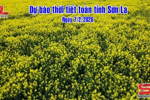 'Dự báo thời tiết toàn tỉnh Sơn La ngày 7/2/2026