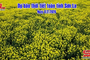 'Dự báo thời tiết toàn tỉnh Sơn La ngày 8/2/2026