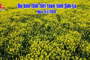 'Dự báo thời tiết toàn tỉnh Sơn La ngày 9/2/2026