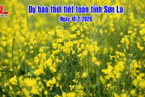 'Dự báo thời tiết toàn tỉnh Sơn La ngày 10/2/2026
