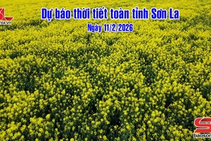 'Dự báo thời tiết toàn tỉnh Sơn La ngày 11/2/2026