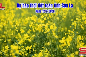 'Dự báo thời tiết toàn tỉnh Sơn La ngày 12/2/2026