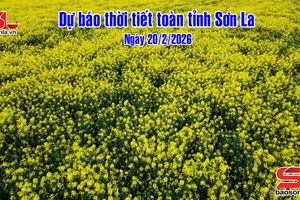 'Dự báo thời tiết toàn tỉnh Sơn La ngày 20/2/2026